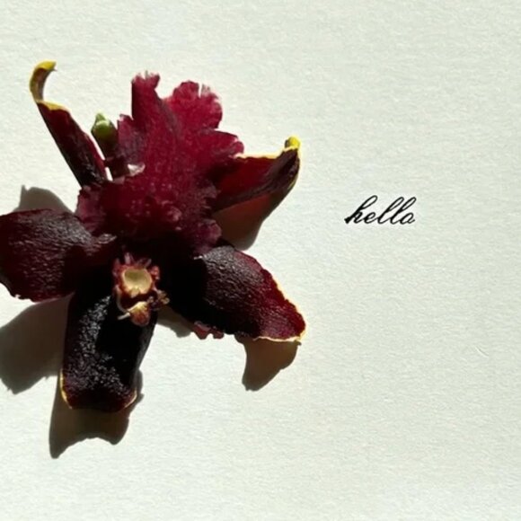 Size 30 Banana Republic Dark Wash The Slim Jean - Picture 7 of 7